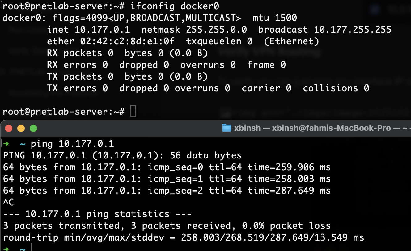 image-20251028003923861