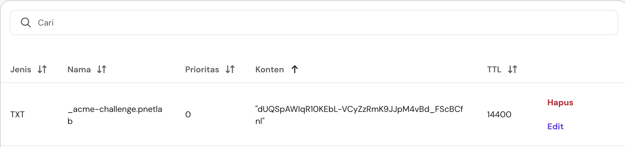 DNS TXT record
