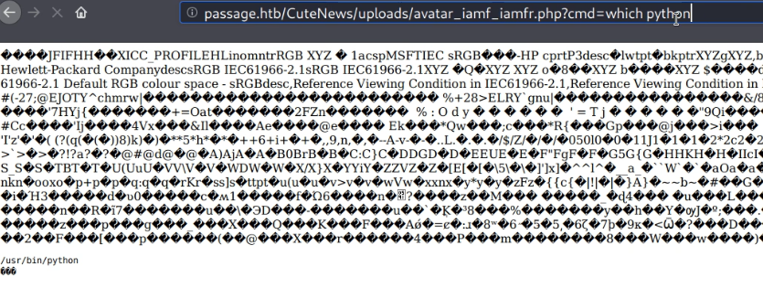 image-20210508023129512