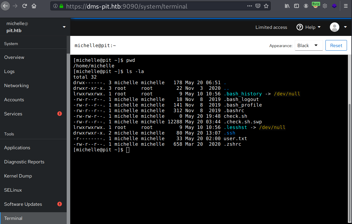 image-20210521064953236