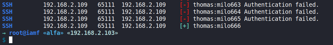 image-20210422151432013